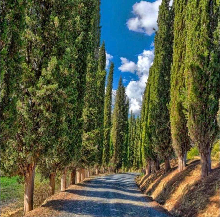 Agriturismo Fattoria Il Piano - Appartamento Lavanda - 圣吉米纳诺 外观 照片