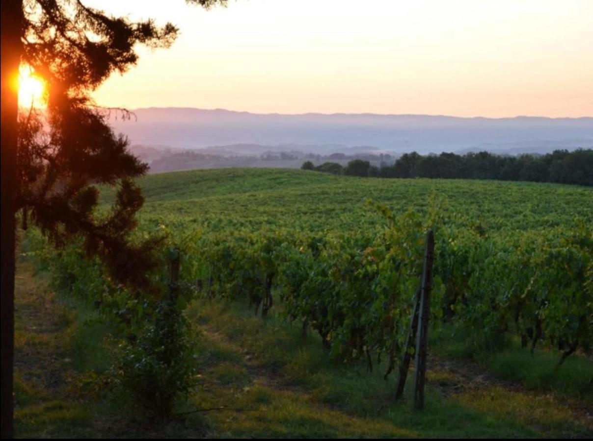 Agriturismo Fattoria Il Piano - Appartamento Lavanda - 圣吉米纳诺 外观 照片