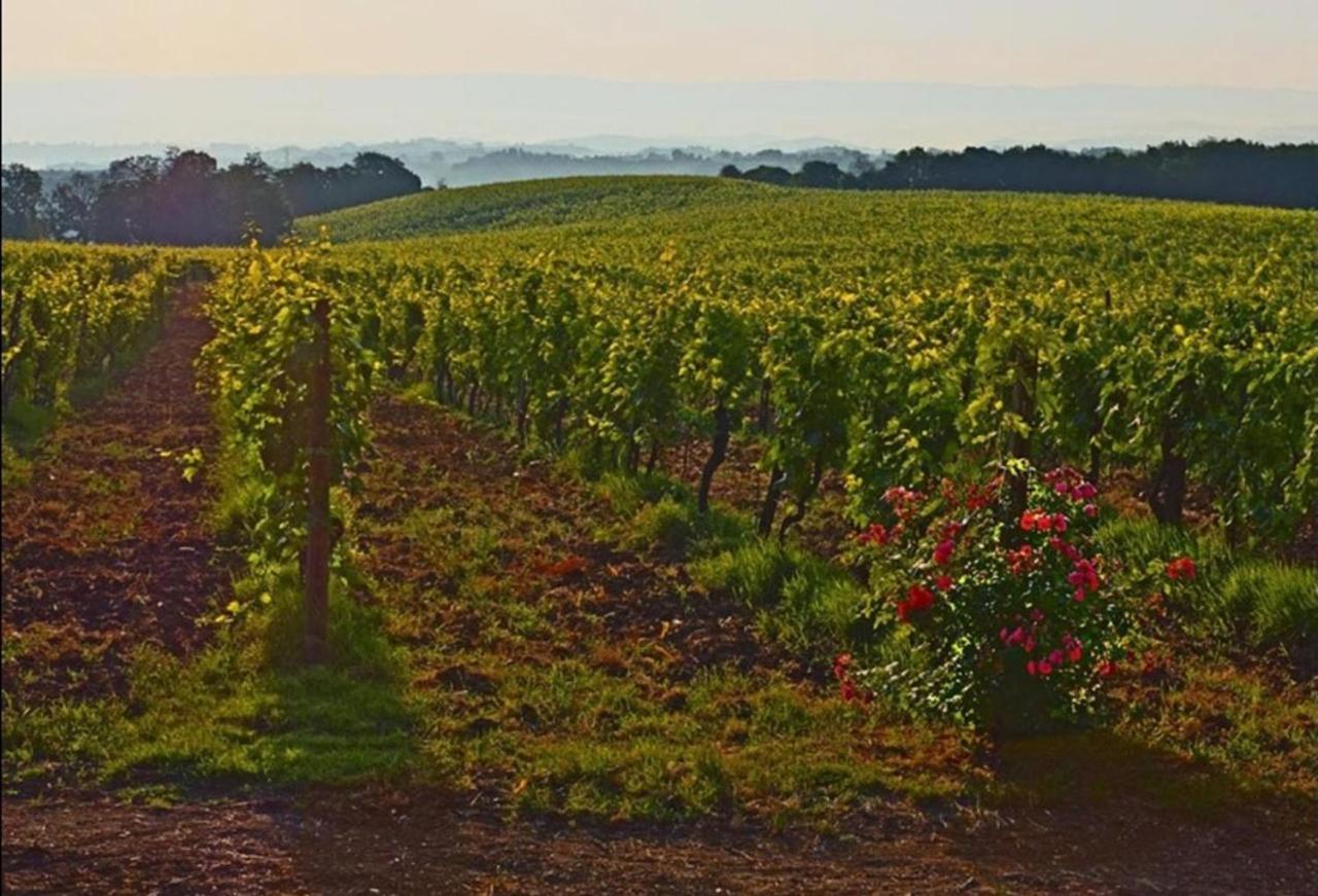 Agriturismo Fattoria Il Piano - Appartamento Lavanda - 圣吉米纳诺 外观 照片