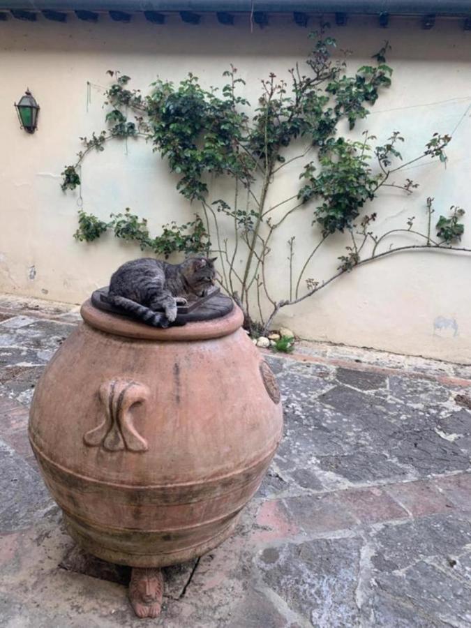 Agriturismo Fattoria Il Piano - Appartamento Lavanda - 圣吉米纳诺 外观 照片