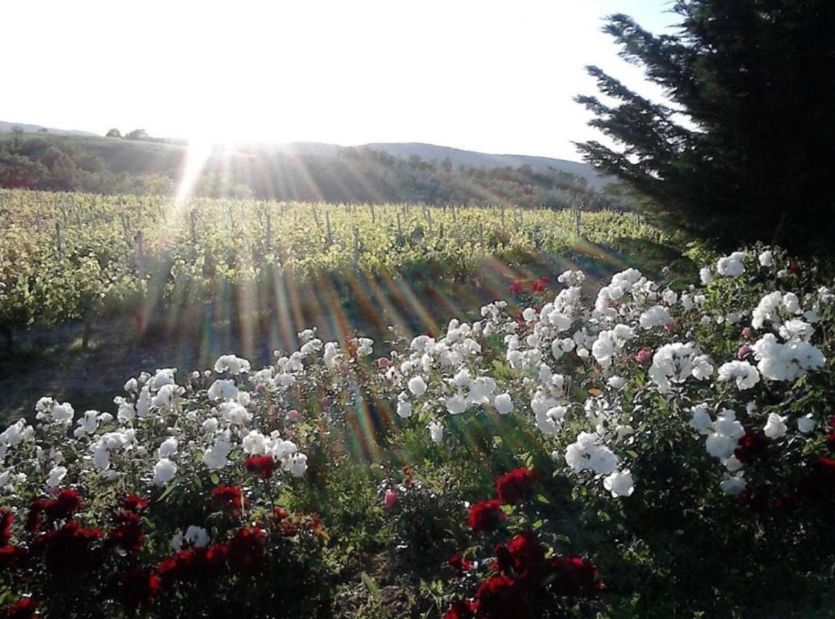 Agriturismo Fattoria Il Piano - Appartamento Lavanda - 圣吉米纳诺 外观 照片