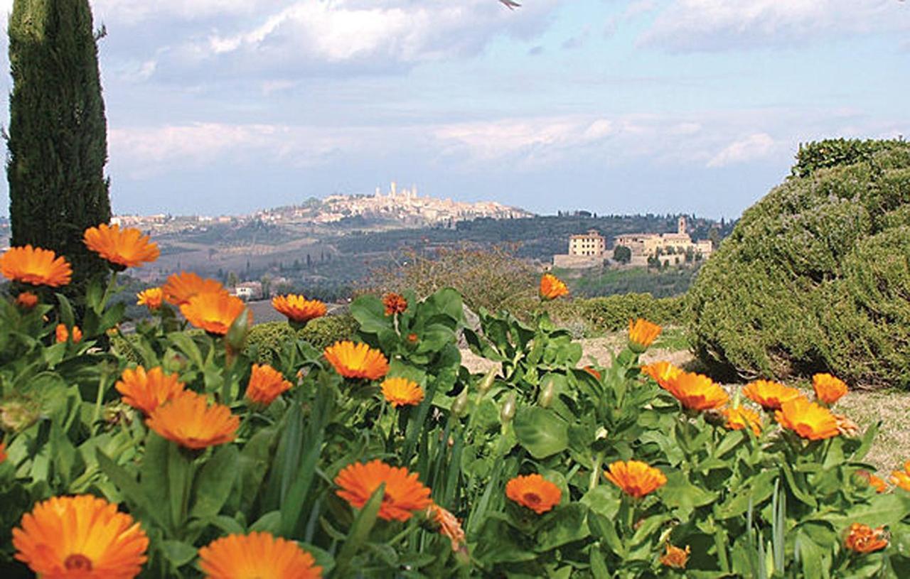 Agriturismo Fattoria Il Piano - Appartamento Lavanda - 圣吉米纳诺 外观 照片